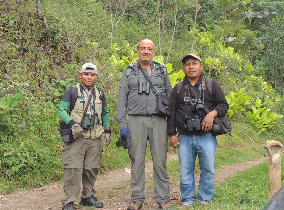 Birding Tour: Cerro Paquisis, Natural Reserve Rey Tepepul